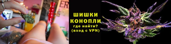 PSILOCYBIN Лабытнанги