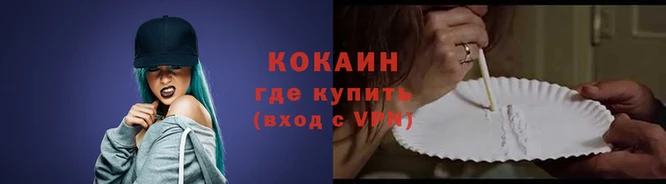 PSILOCYBIN Лабытнанги