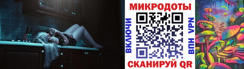 blacksprut зеркало Нытва Псилоцибиновые грибы Psilocybine cubensis